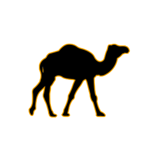 morocco budget tours